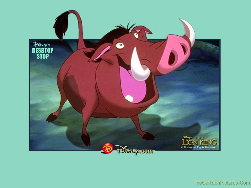 lion king wallpapers. lion king 800x600 Picture