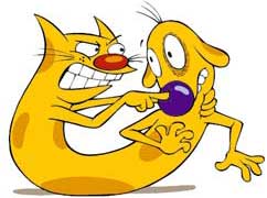 Dogscatswallpaper on Cartoon Pictures Home Catdog Cat Dog Catdog Pictures Cat Dog 242 X 180