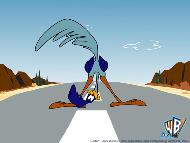 road runner cartoon 800