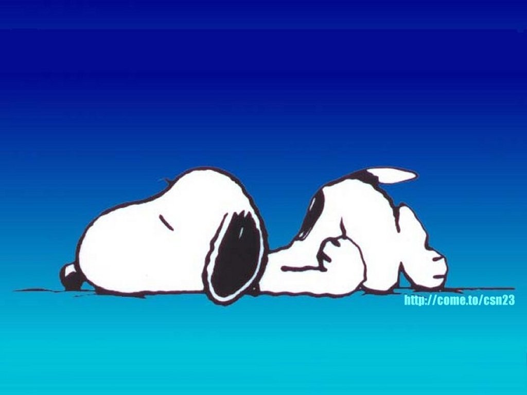 snoopy sleep