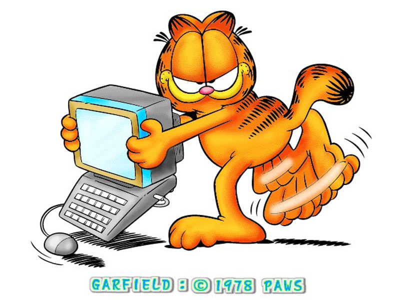 Garfield pic