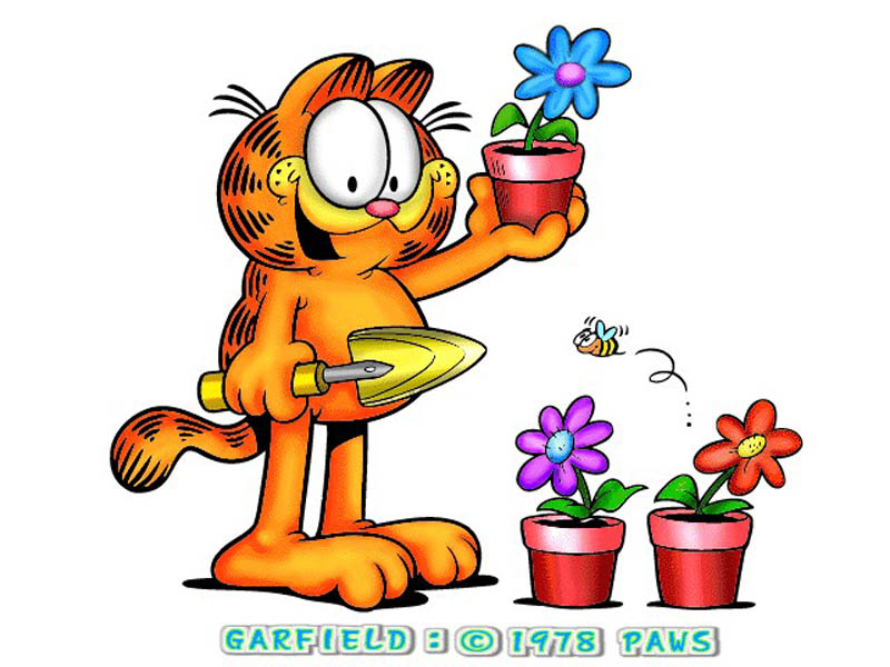 Garfield wallpapers