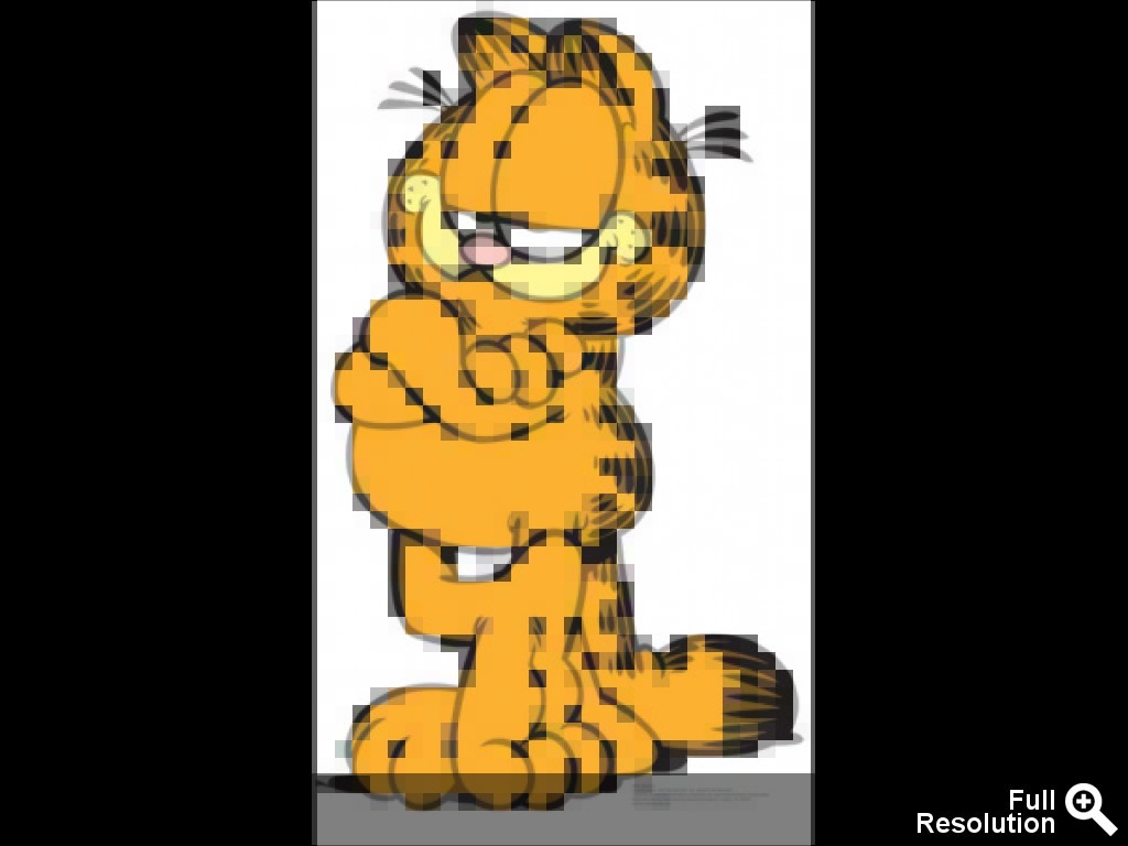 garfield