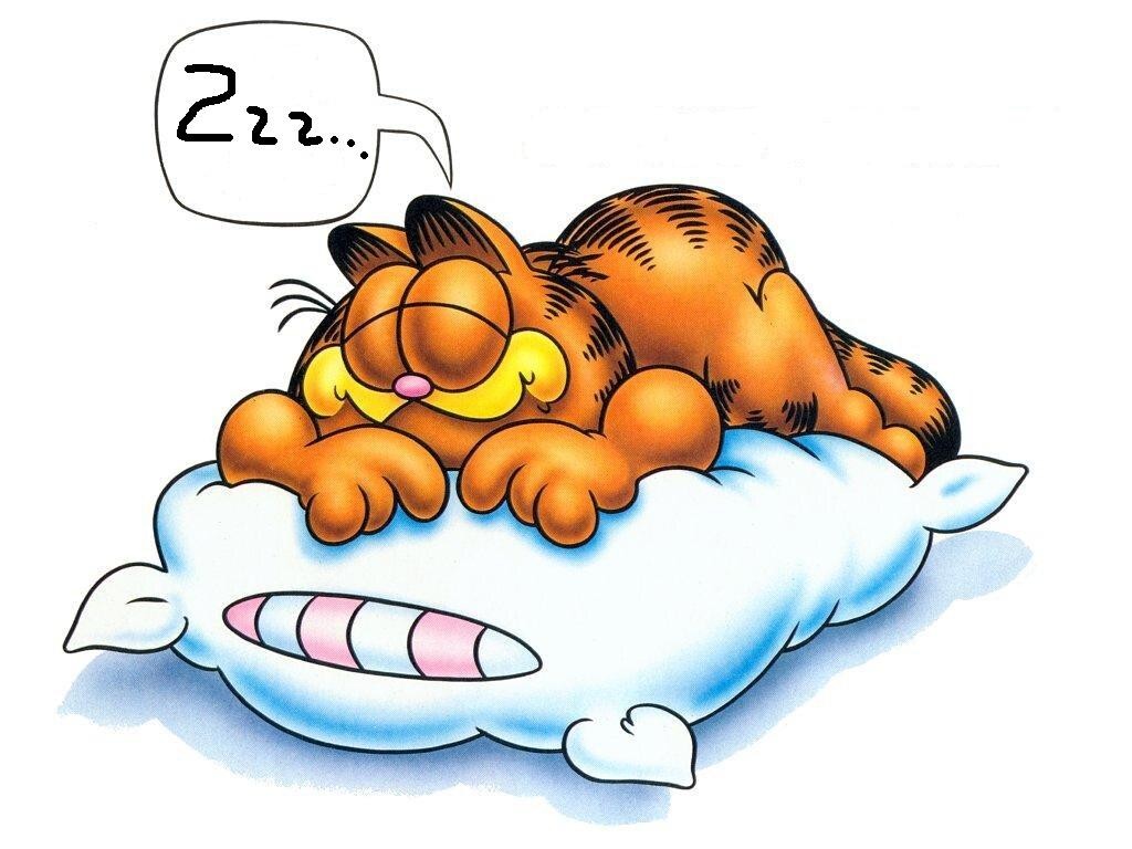 garfield free sleep