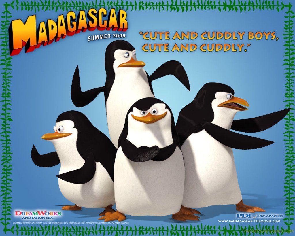 madagascar-penguins wallpaper