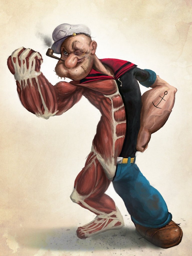 anatomy popeye