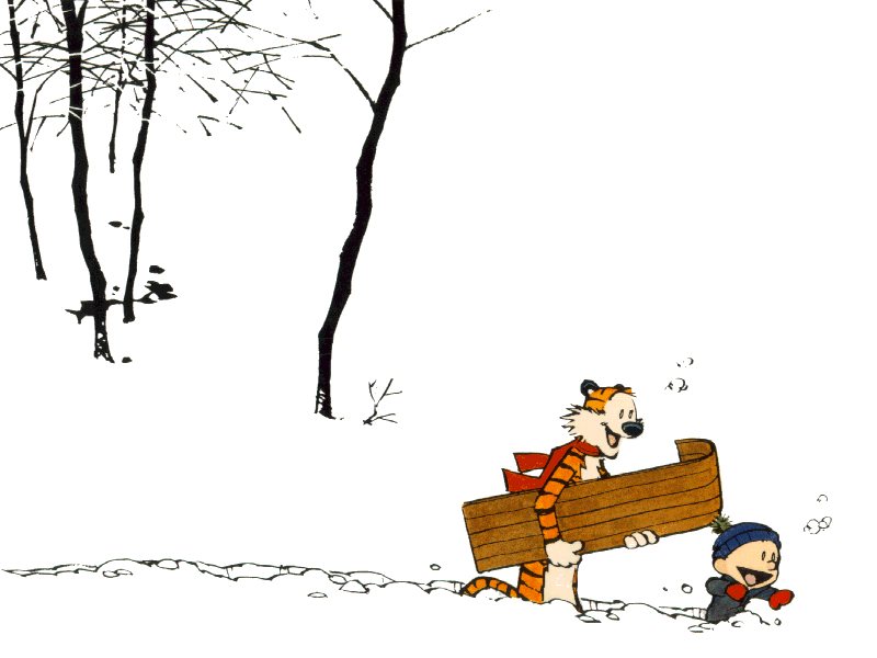 calvin-hobbes