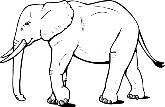 coloring elephant