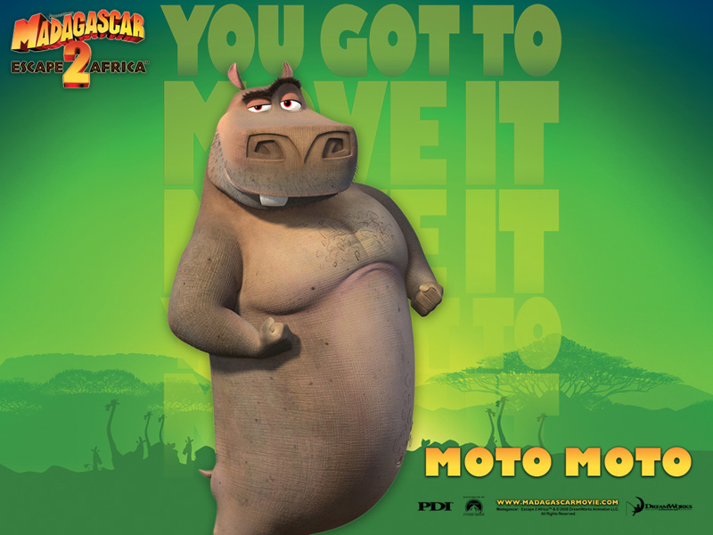 Madagascar 2 moto moto 800