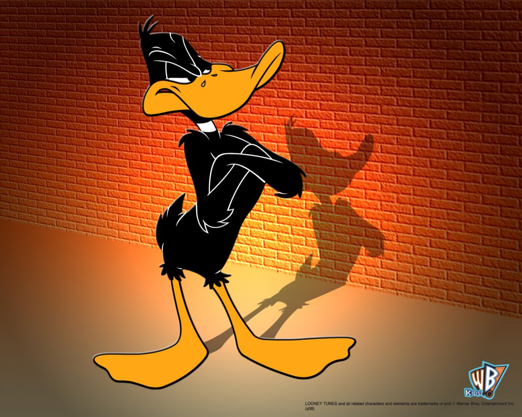 daffy duck wallpaper 1280