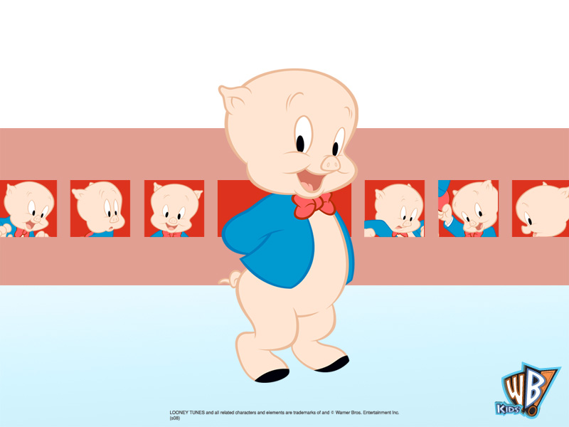 porky pig 800