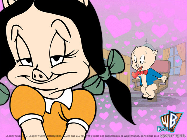 porky pig wallpaper 800