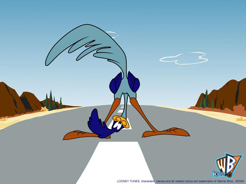 road runner cartoon 1024