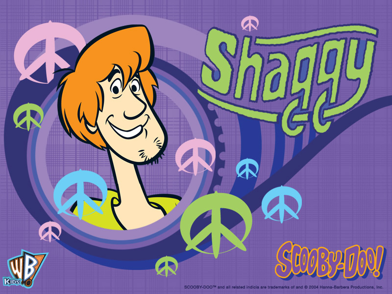 shaggy rogers 800