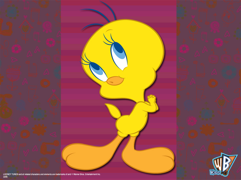 tweety destop 800