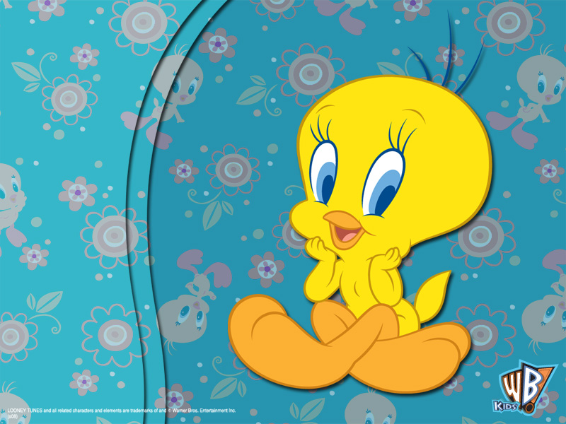 tweety wallpaper 800