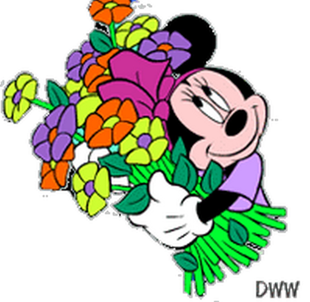 minnie Mouse flowers