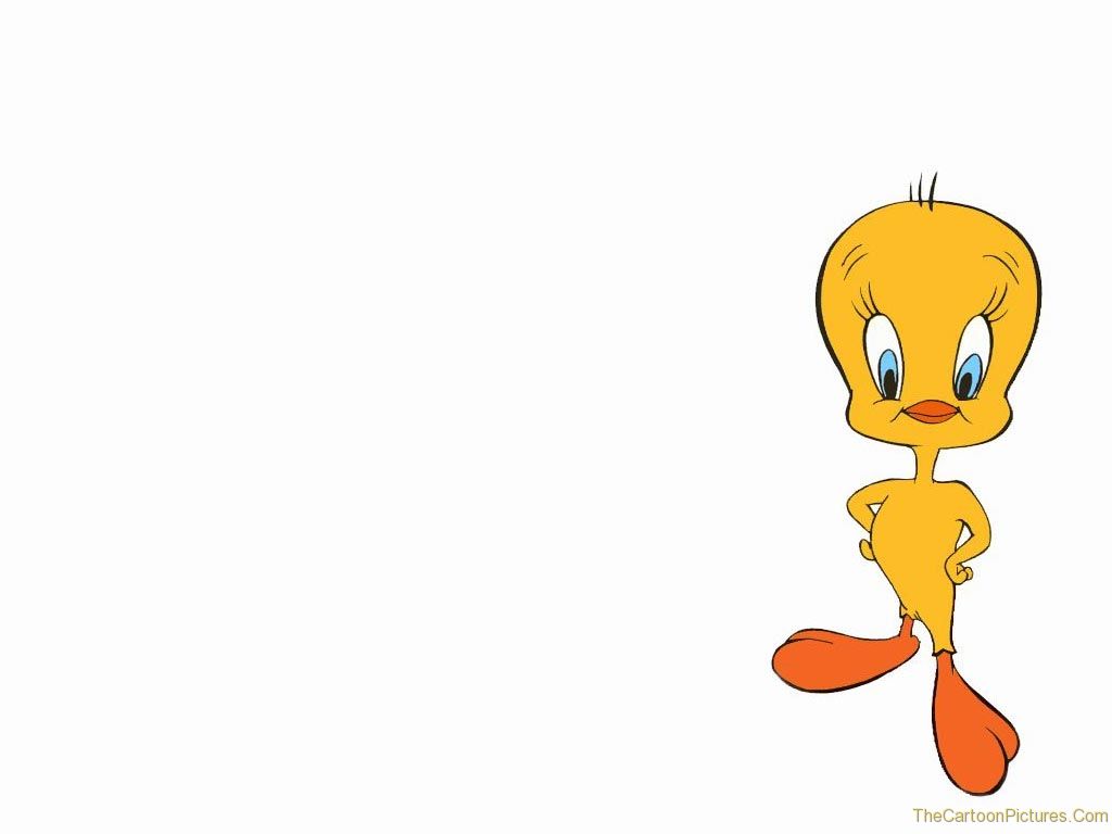 tweety wallpaper