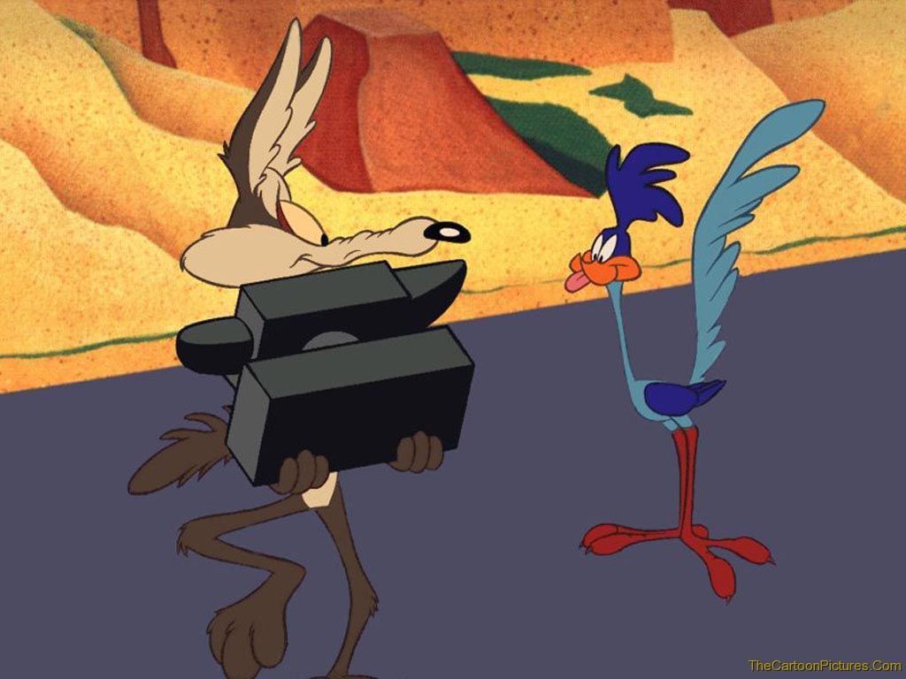 road runner pic