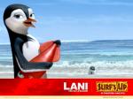 lani desktop