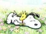 Snoopy wallpaper cartoon