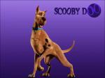 Scooby 1024x768