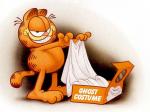 Garfield 800x600