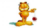 garfield beatiful