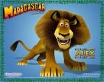 madagascar-alex