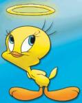 tweety-iphone