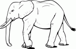 coloring elephant