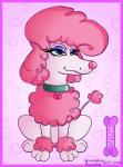 cartoon-french-poodle-dog