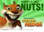 over-the-hedge-hammy 1024