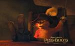 cartoon-movie-Puss in boots 1280x800 widescreen