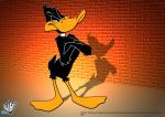 daffy duck wallpaper 1024