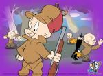 elmer fudd 800