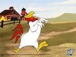 foghorn leghorn 800