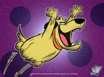 muttley wallpaper 800