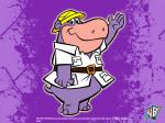 peter potamus wallpaper 800