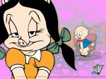 porky pig wallpaper 1024