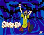 shaggy rogers cartoon 1280