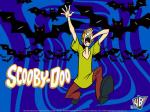 shaggy rogers cartoon 800