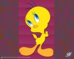 tweety destop 1280