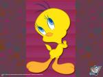 tweety destop 800