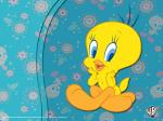 tweety wallpaper 1024