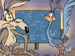 wile e coyote 1024