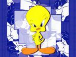 tweety wallpaper cartoons anime animated 662