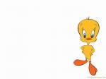 tweety wallpaper